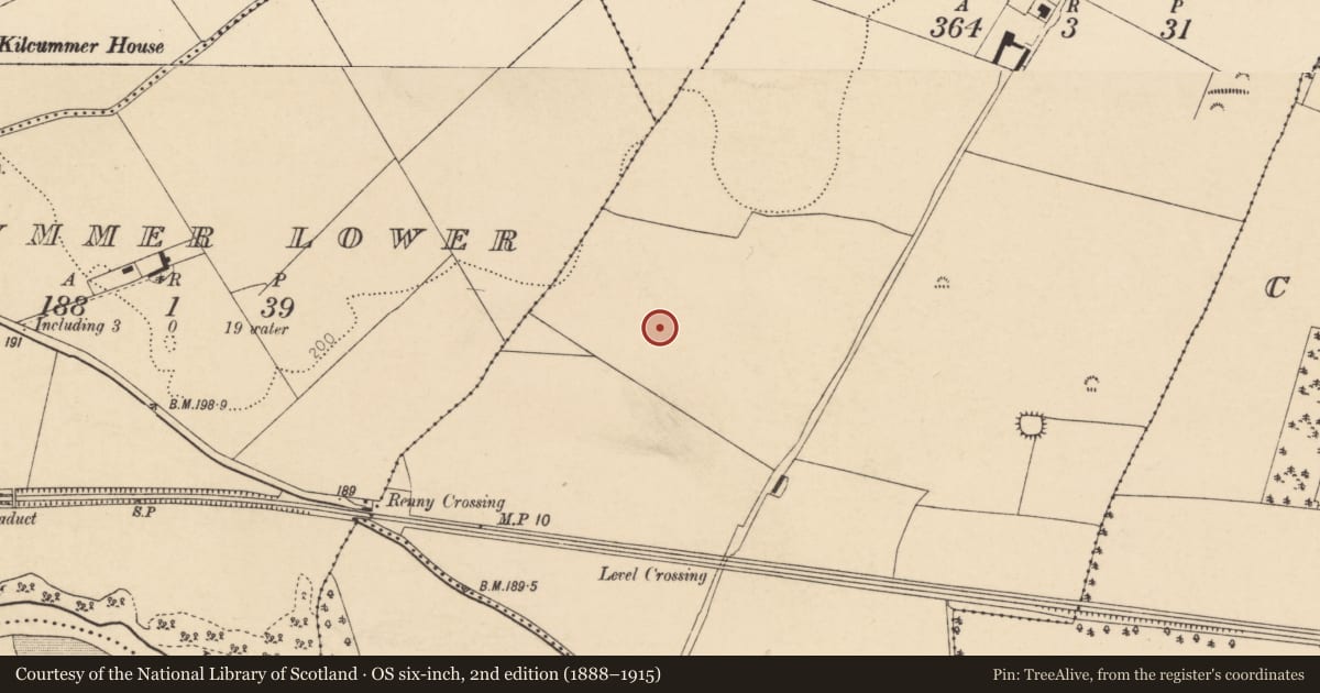 Ordnance Survey six-inch map, 2nd edition (1888–1915) covering the location of Enclosure, Renny Upper, County Cork, with a pin at the register's coordinates