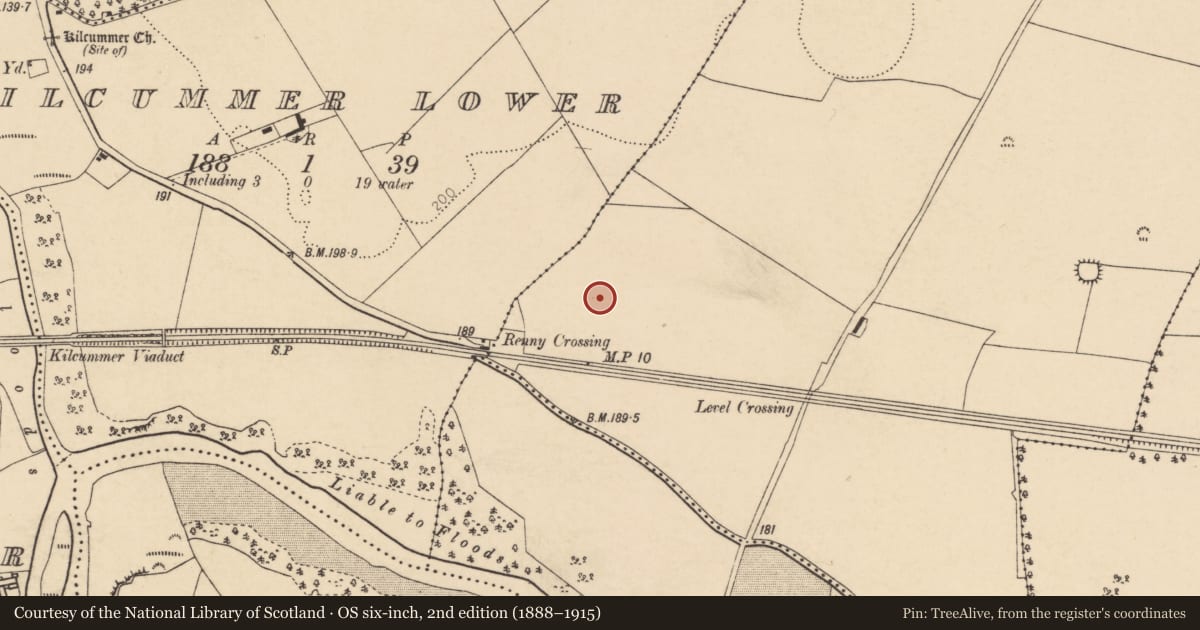 Ordnance Survey six-inch map, 2nd edition (1888–1915) covering the location of Fulacht fia, Renny Upper, County Cork, with a pin at the register's coordinates