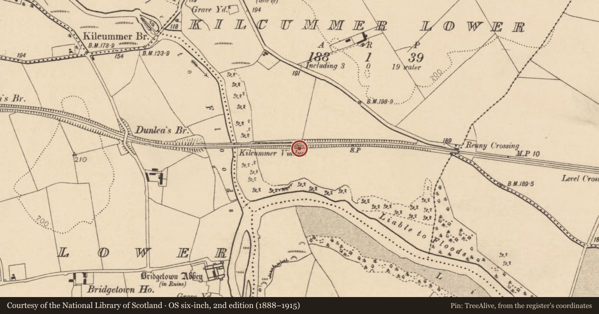 Ordnance Survey six-inch map, 2nd edition (1888–1915) covering the location of Railway bridge, Kilcummer Lower, County Cork, with a pin at the register's coordinates