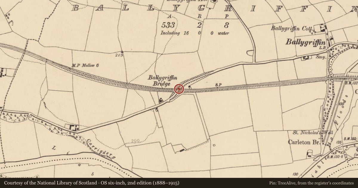 Ordnance Survey six-inch map, 2nd edition (1888–1915) covering the location of Railway bridge, Ballygriffin, County Cork, with a pin at the register's coordinates