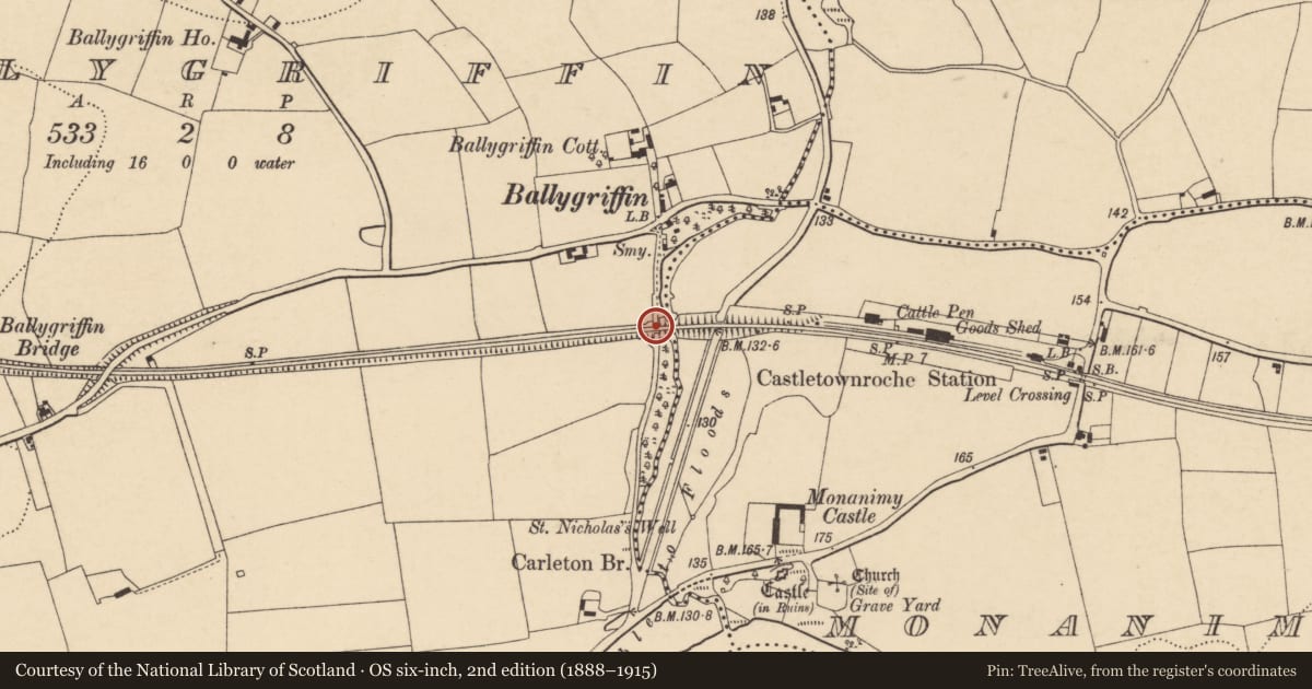 Ordnance Survey six-inch map, 2nd edition (1888–1915) covering the location of Railway bridge, Ballygriffin, Monanimy Lower, County Cork, with a pin at the register's coordinates