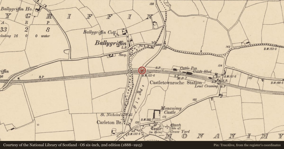 Ordnance Survey six-inch map, 2nd edition (1888–1915) covering the location of Railway bridge, Monanimy Lower, County Cork, with a pin at the register's coordinates