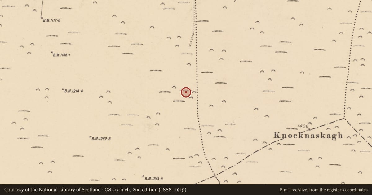 Ordnance Survey six-inch map, 2nd edition (1888–1915) covering the location of Standing stone, Glandonohoe, County Cork, with a pin at the register's coordinates