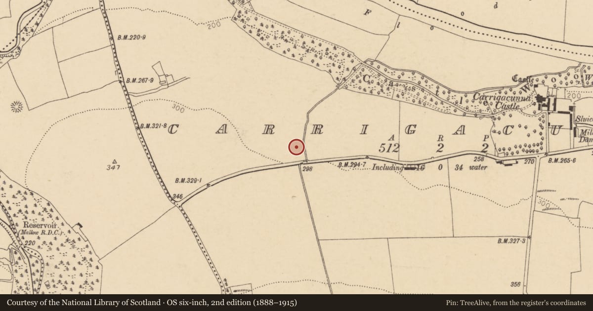 Ordnance Survey six-inch map, 2nd edition (1888–1915) covering the location of Fulacht fia, Carrigacunna, County Cork, with a pin at the register's coordinates