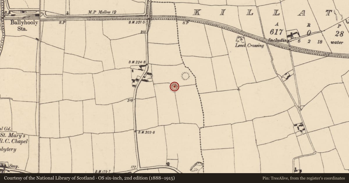 Ordnance Survey six-inch map, 2nd edition (1888–1915) covering the location of Ringfort - rath, Ballyhooly South, County Cork, with a pin at the register's coordinates