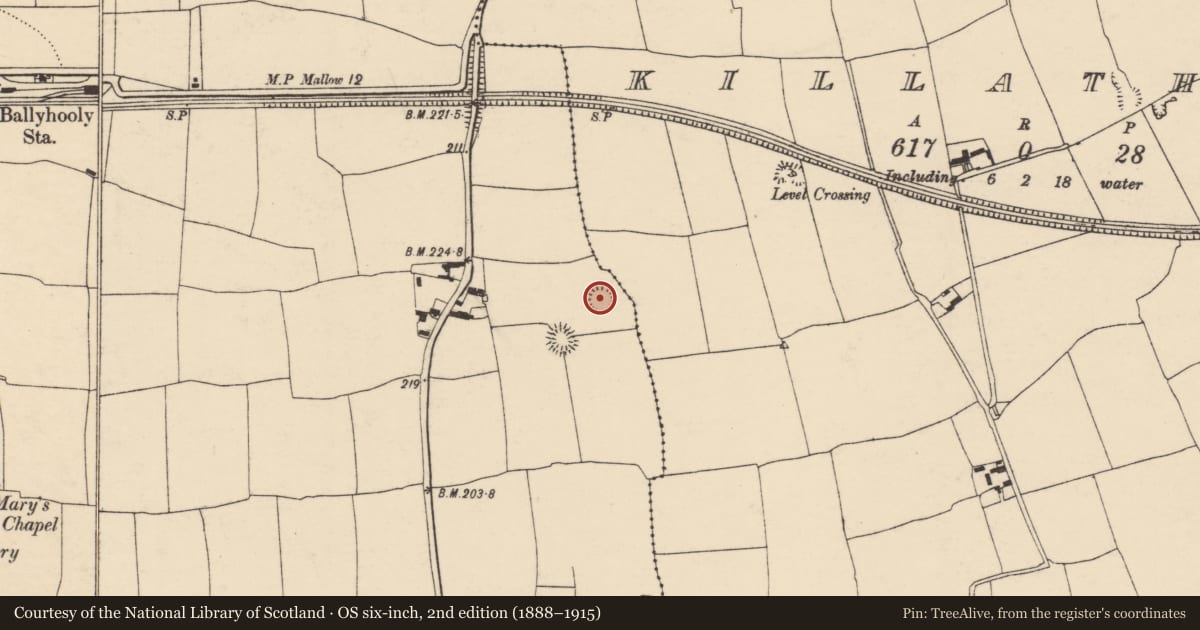 Ordnance Survey six-inch map, 2nd edition (1888–1915) covering the location of Ringfort - rath, Ballyhooly South, County Cork, with a pin at the register's coordinates