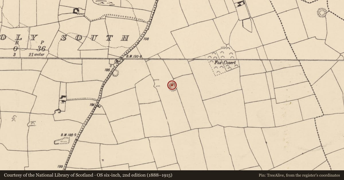 Ordnance Survey six-inch map, 2nd edition (1888–1915) covering the location of Ringfort - rath, Killathy, County Cork, with a pin at the register's coordinates