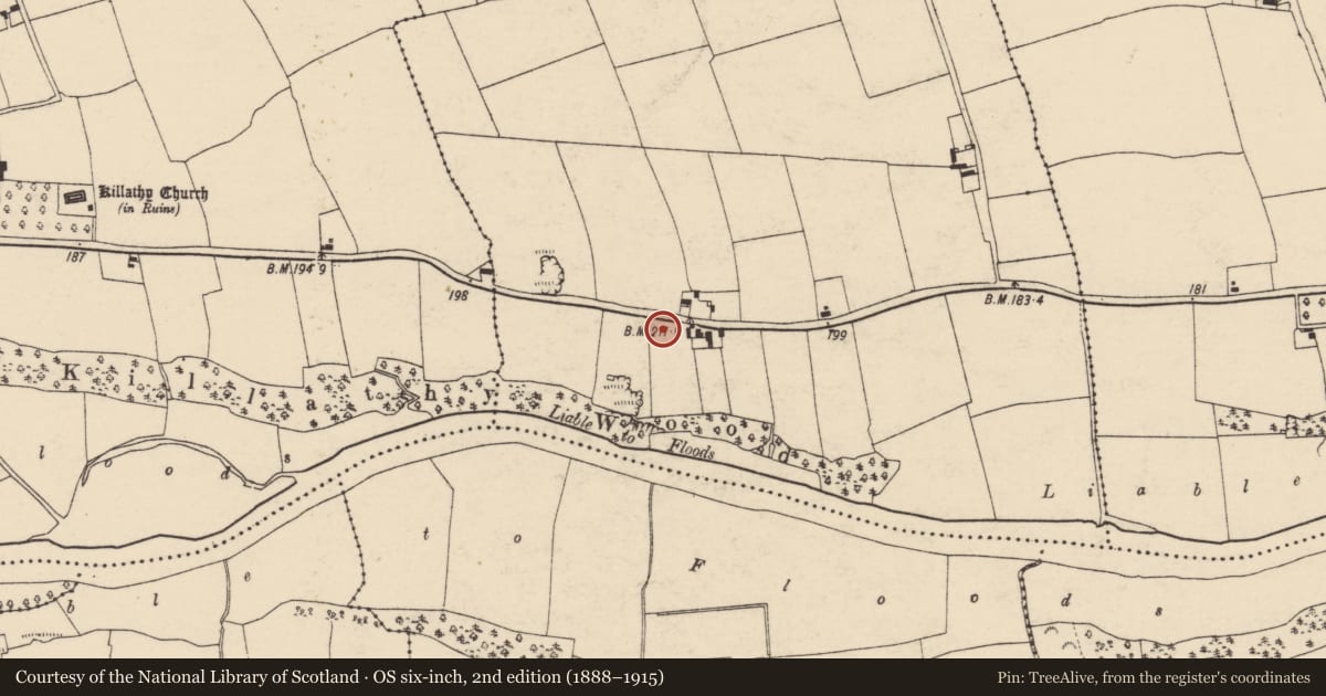 Ordnance Survey six-inch map, 2nd edition (1888–1915) covering the location of Souterrain, Inchinapallas, County Cork, with a pin at the register's coordinates