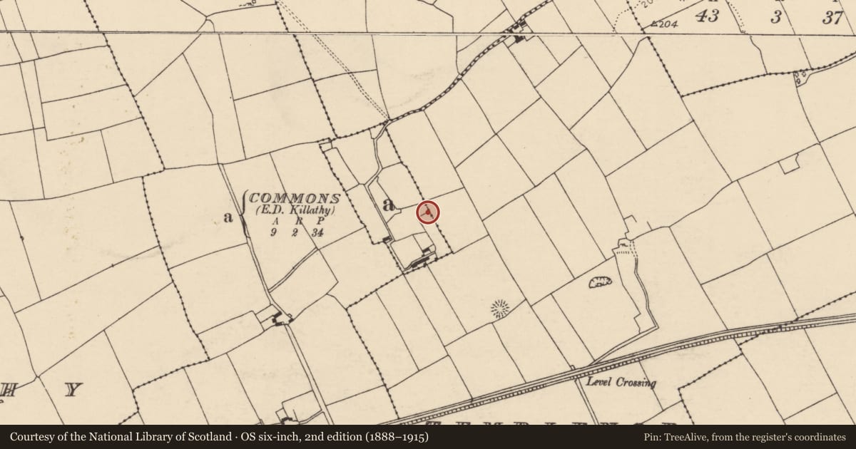 Ordnance Survey six-inch map, 2nd edition (1888–1915) covering the location of Quarry, Commons (Fermoy By., Litter Par.), County Cork, with a pin at the register's coordinates