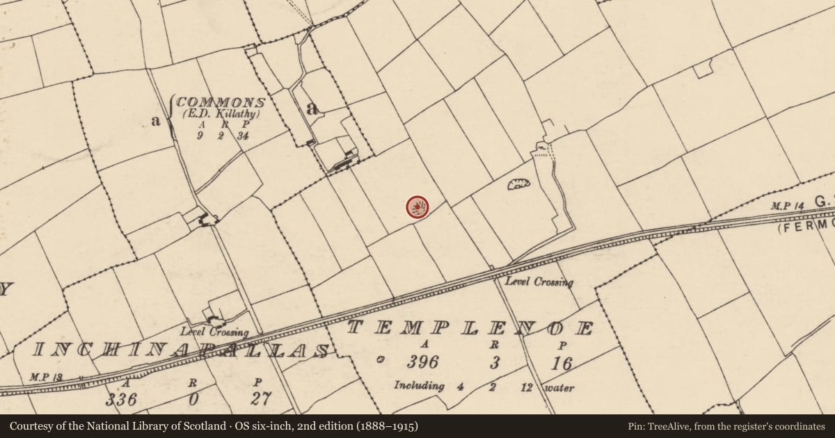 Ordnance Survey six-inch map, 2nd edition (1888–1915) covering the location of Ringfort - rath, Templenoe, County Cork, with a pin at the register's coordinates