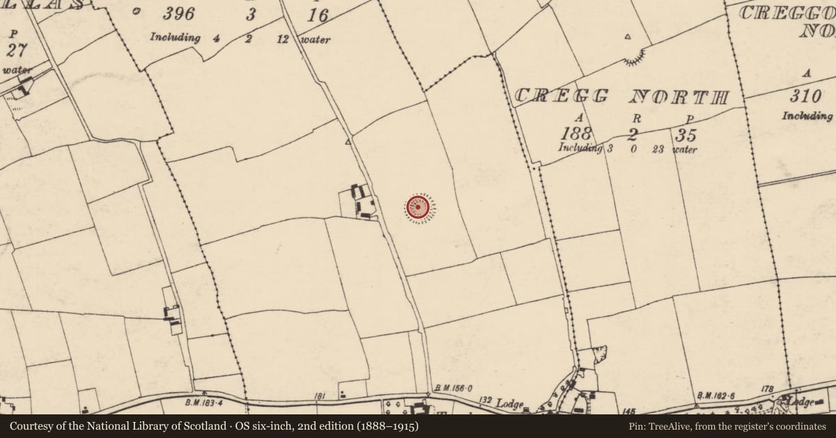 Ordnance Survey six-inch map, 2nd edition (1888–1915) covering the location of Ringfort - rath, Templenoe, County Cork, with a pin at the register's coordinates