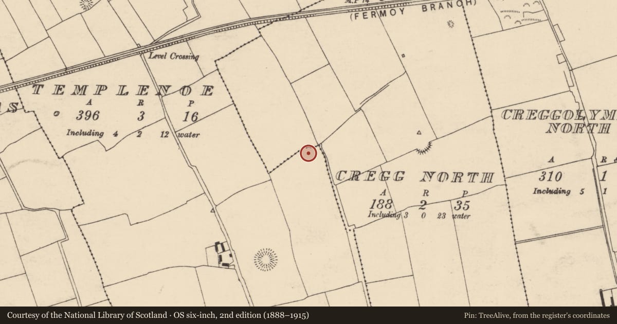 Ordnance Survey six-inch map, 2nd edition (1888–1915) covering the location of Ringfort - rath, Templenoe, County Cork, with a pin at the register's coordinates