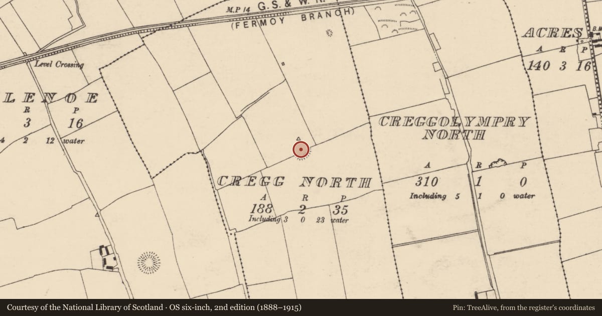 Ordnance Survey six-inch map, 2nd edition (1888–1915) covering the location of Ringfort - rath, Cregg North, County Cork, with a pin at the register's coordinates