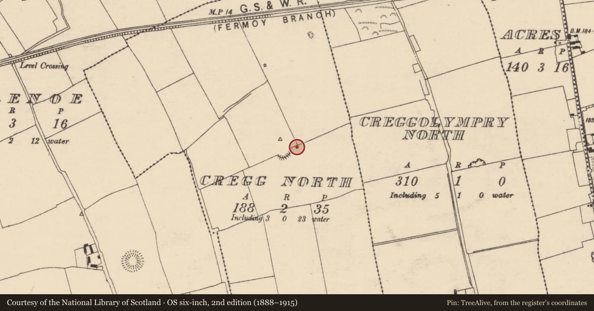 Ordnance Survey six-inch map, 2nd edition (1888–1915) covering the location of Ring-ditch, Cregg North, County Cork, with a pin at the register's coordinates