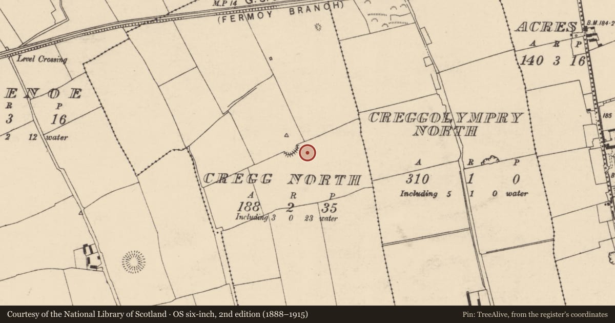 Ordnance Survey six-inch map, 2nd edition (1888–1915) covering the location of Ring-ditch, Cregg North, County Cork, with a pin at the register's coordinates