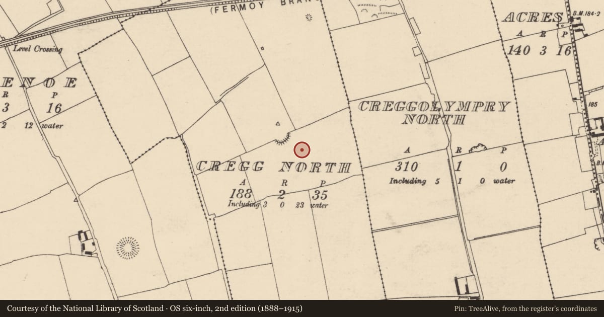 Ordnance Survey six-inch map, 2nd edition (1888–1915) covering the location of Ring-ditch, Cregg North, County Cork, with a pin at the register's coordinates