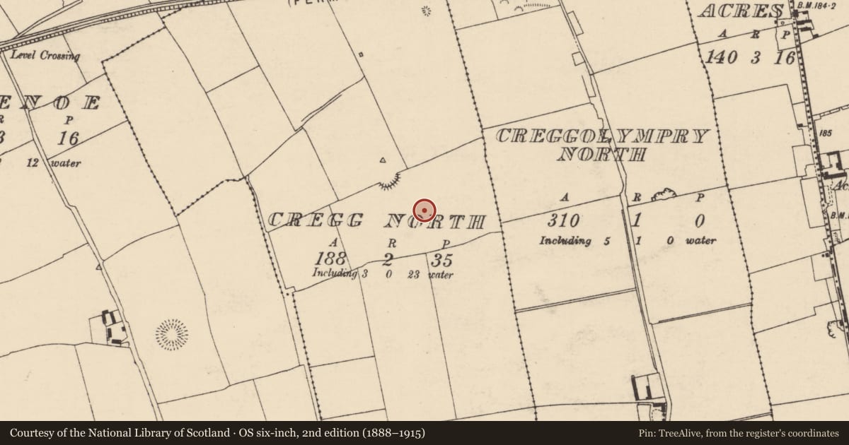 Ordnance Survey six-inch map, 2nd edition (1888–1915) covering the location of Ring-ditch, Cregg North, County Cork, with a pin at the register's coordinates