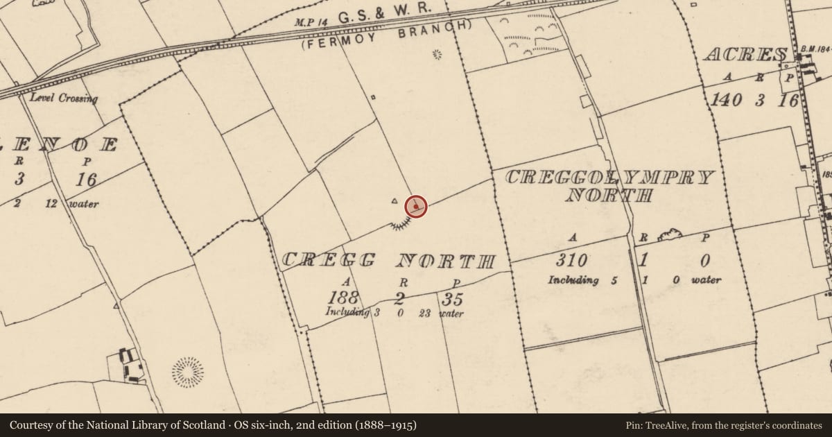 Ordnance Survey six-inch map, 2nd edition (1888–1915) covering the location of Field system, Cregg North, County Cork, with a pin at the register's coordinates