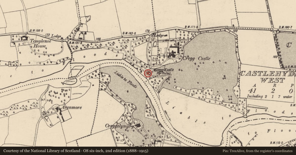 Ordnance Survey six-inch map, 2nd edition (1888–1915) covering the location of Castle - tower house, Cregg North, County Cork, with a pin at the register's coordinates