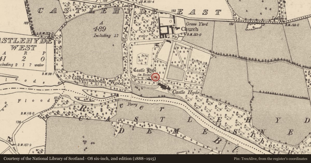 Ordnance Survey six-inch map, 2nd edition (1888–1915) covering the location of Castle - tower house, Castlehyde East, County Cork, with a pin at the register's coordinates
