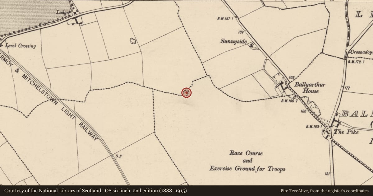 Ordnance Survey six-inch map, 2nd edition (1888–1915) covering the location of Ringfort - rath, Garraunigerinagh, County Cork, with a pin at the register's coordinates