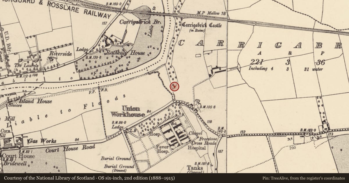Ordnance Survey six-inch map, 2nd edition (1888–1915) covering the location of Kiln - lime, Carrigabrick, County Cork, with a pin at the register's coordinates