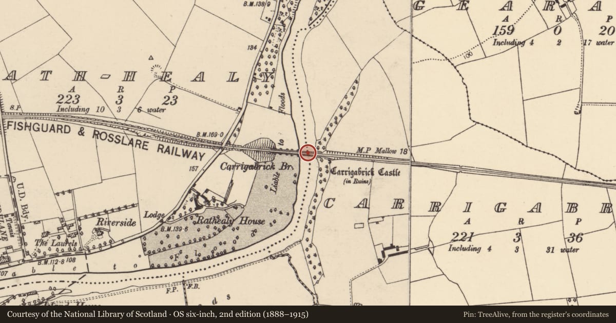 Ordnance Survey six-inch map, 2nd edition (1888–1915) covering the location of Railway bridge, Carrigabrick, Rath-Healy, County Cork, with a pin at the register's coordinates