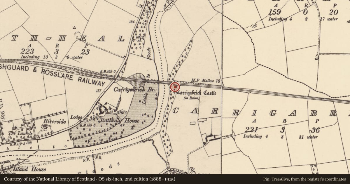 Ordnance Survey six-inch map, 2nd edition (1888–1915) covering the location of Castle - tower house, Carrigabrick, County Cork, with a pin at the register's coordinates