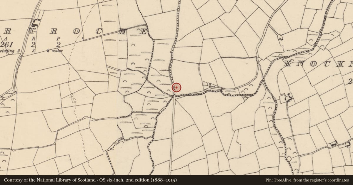 Ordnance Survey six-inch map, 2nd edition (1888–1915) covering the location of Kiln - lime, Ballymacphilip, County Cork, with a pin at the register's coordinates