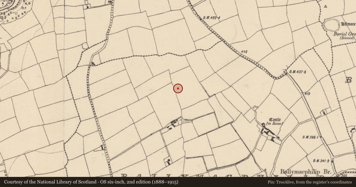 Ordnance Survey six-inch map, 2nd edition (1888–1915) covering the location of Fulacht fia, Ballymacphilip, County Cork, with a pin at the register's coordinates