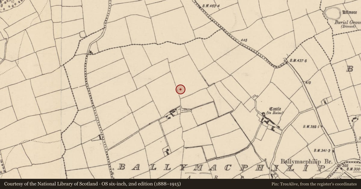 Ordnance Survey six-inch map, 2nd edition (1888–1915) covering the location of Fulacht fia, Ballymacphilip, County Cork, with a pin at the register's coordinates