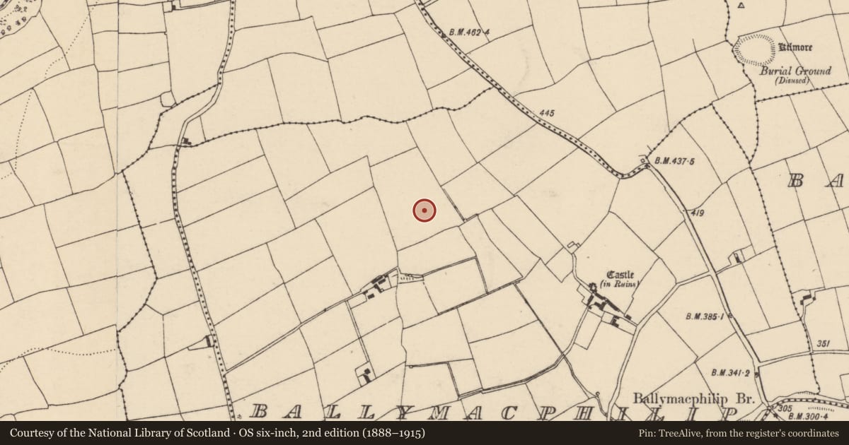 Ordnance Survey six-inch map, 2nd edition (1888–1915) covering the location of Fulacht fia, Ballymacphilip, County Cork, with a pin at the register's coordinates