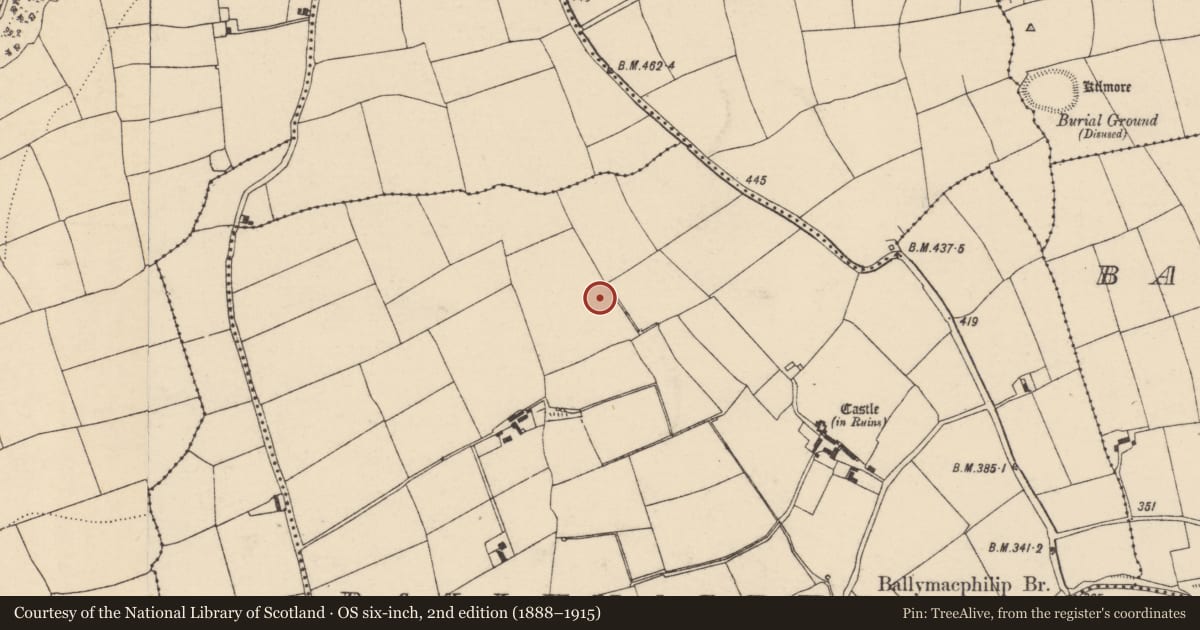 Ordnance Survey six-inch map, 2nd edition (1888–1915) covering the location of Fulacht fia, Ballymacphilip, County Cork, with a pin at the register's coordinates