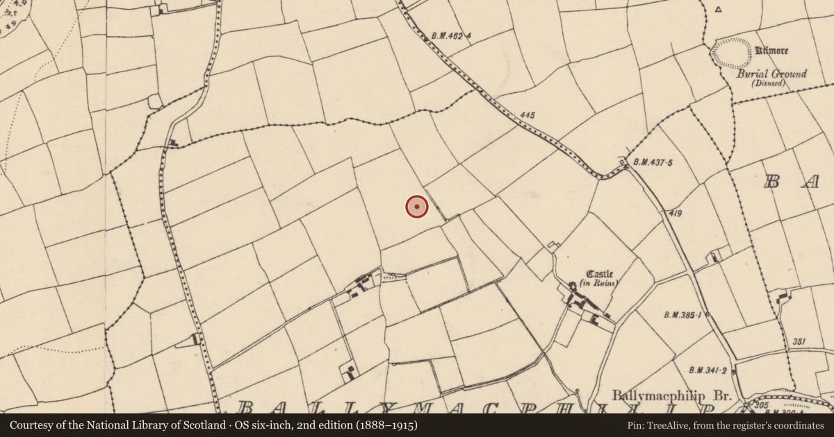 Ordnance Survey six-inch map, 2nd edition (1888–1915) covering the location of Fulacht fia, Ballymacphilip, County Cork, with a pin at the register's coordinates