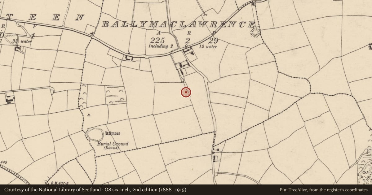Ordnance Survey six-inch map, 2nd edition (1888–1915) covering the location of Fulacht fia, Ballymaclawrence, County Cork, with a pin at the register's coordinates