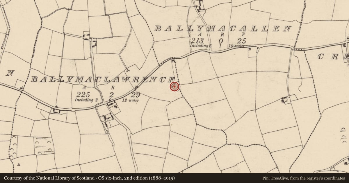 Ordnance Survey six-inch map, 2nd edition (1888–1915) covering the location of Ringfort - rath, Ballymaclawrence, County Cork, with a pin at the register's coordinates