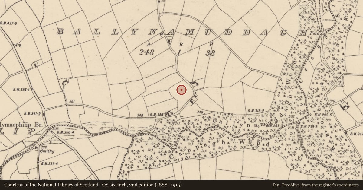 Ordnance Survey six-inch map, 2nd edition (1888–1915) covering the location of Enclosure, Ballynamuddagh, County Cork, with a pin at the register's coordinates