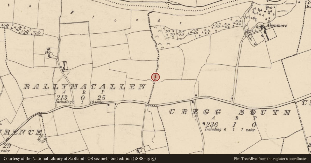 Ordnance Survey six-inch map, 2nd edition (1888–1915) covering the location of Enclosure, Ballymacallen, Cregg South, County Cork, with a pin at the register's coordinates
