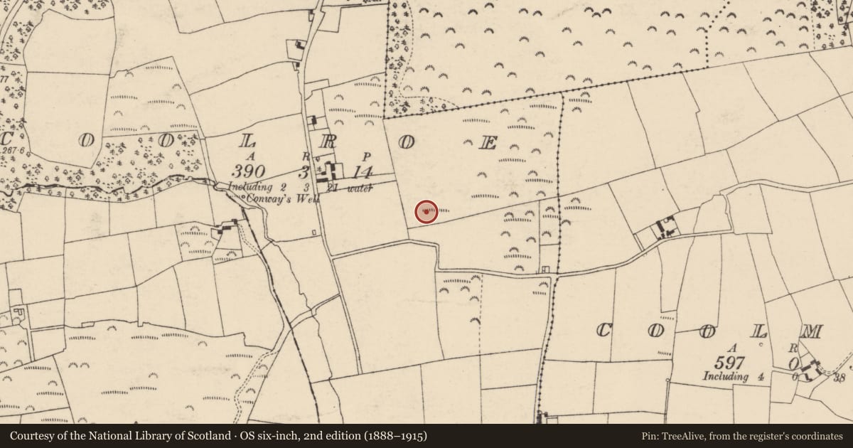Ordnance Survey six-inch map, 2nd edition (1888–1915) covering the location of Enclosure, Coolroe, County Cork, with a pin at the register's coordinates