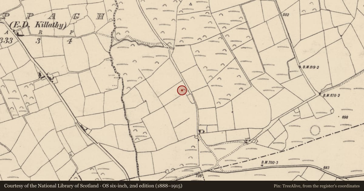 Ordnance Survey six-inch map, 2nd edition (1888–1915) covering the location of Ringfort - rath, Knockananig, County Cork, with a pin at the register's coordinates