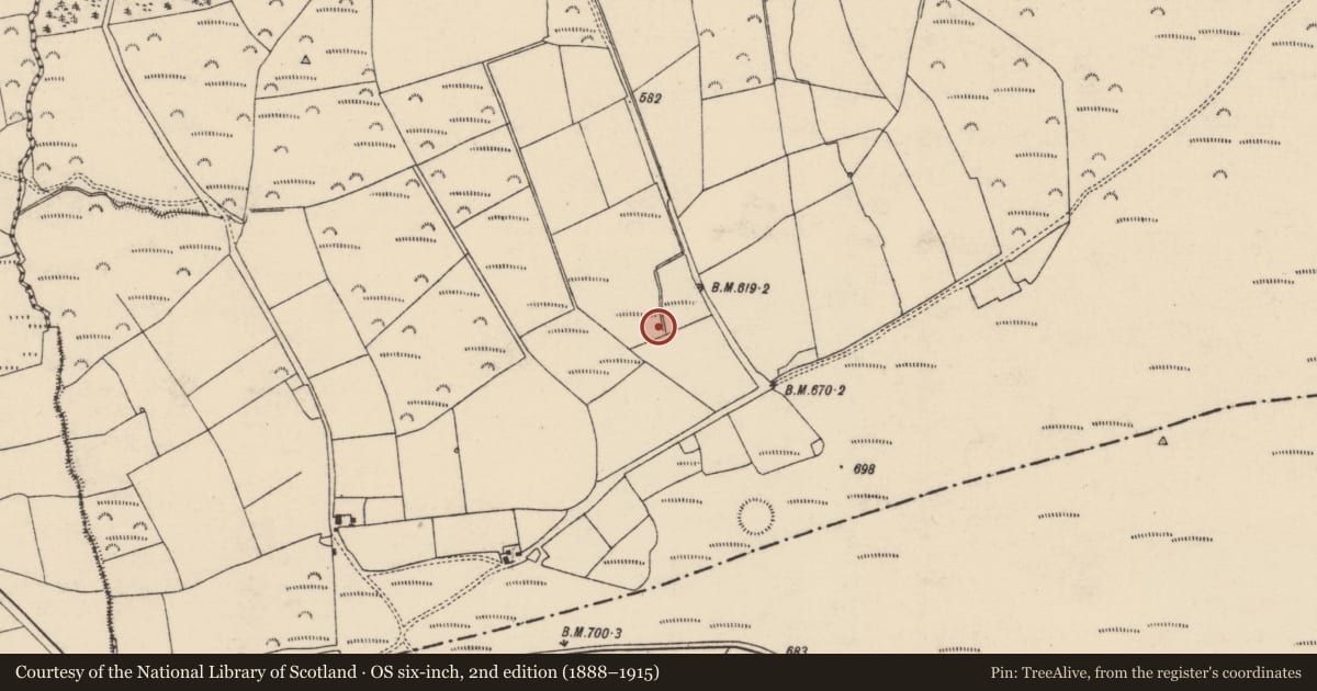 Ordnance Survey six-inch map, 2nd edition (1888–1915) covering the location of Fulacht fia, Knockananig, County Cork, with a pin at the register's coordinates