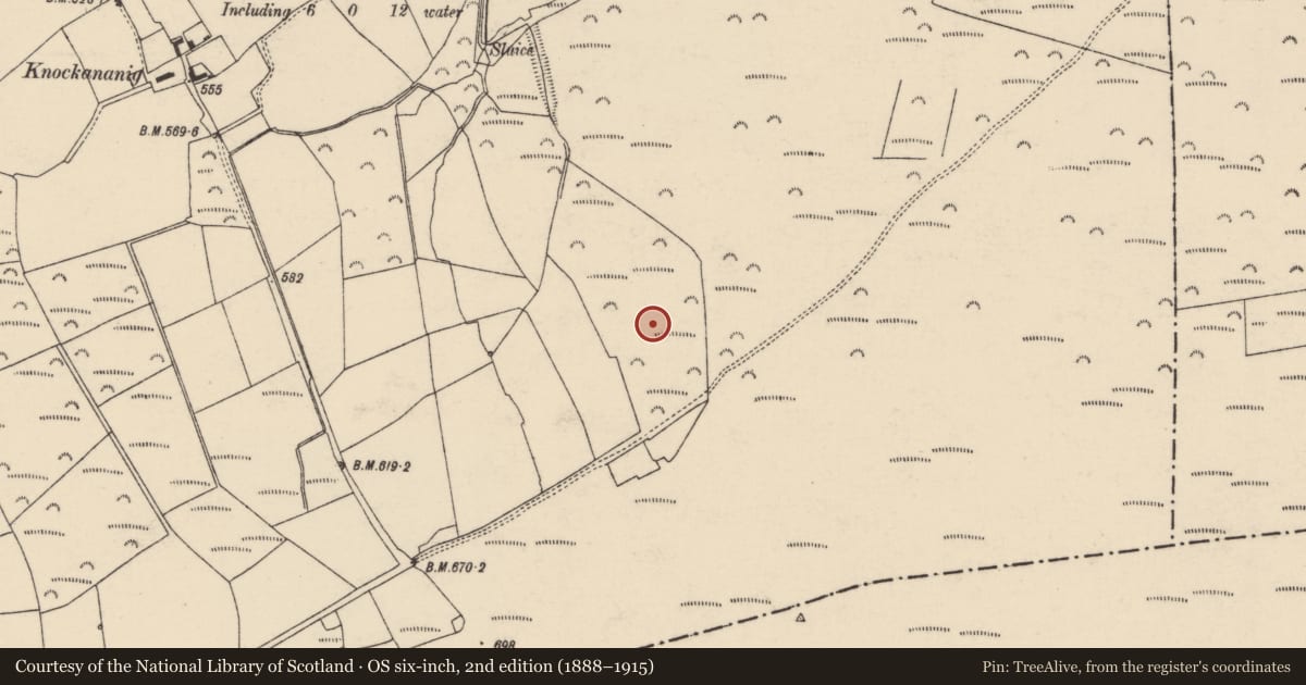Ordnance Survey six-inch map, 2nd edition (1888–1915) covering the location of Enclosure, Knockananig, County Cork, with a pin at the register's coordinates
