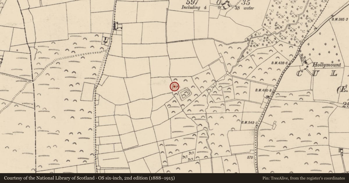Ordnance Survey six-inch map, 2nd edition (1888–1915) covering the location of Fulacht fia, Coolmucky (Condons and Clongibbon By., Litter Par.), County Cork, with a pin at the register's coordinates