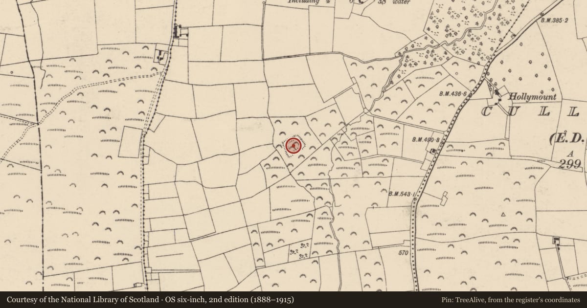 Ordnance Survey six-inch map, 2nd edition (1888–1915) covering the location of Moated site, Coolmucky (Condons and Clongibbon By., Litter Par.), County Cork, with a pin at the register's coordinates