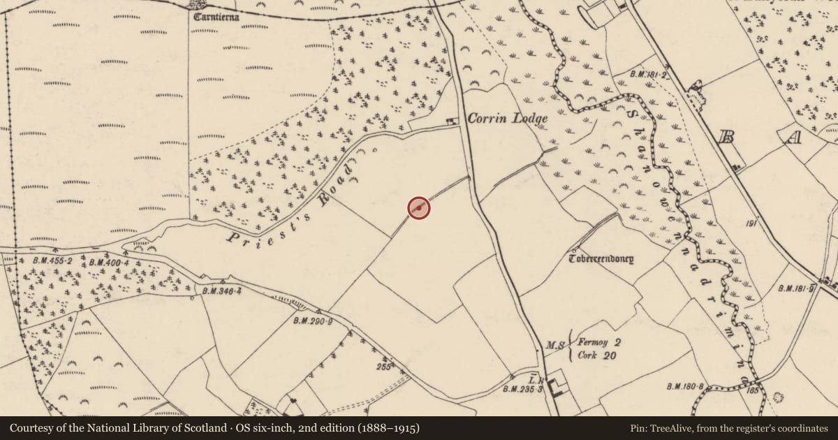 Ordnance Survey six-inch map, 2nd edition (1888–1915) covering the location of Fulacht fia, Corrin, County Cork, with a pin at the register's coordinates