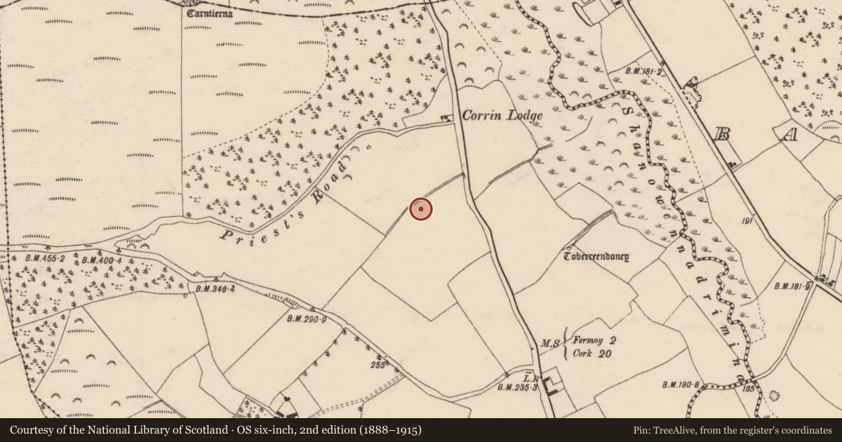 Ordnance Survey six-inch map, 2nd edition (1888–1915) covering the location of Fulacht fia, Corrin, County Cork, with a pin at the register's coordinates