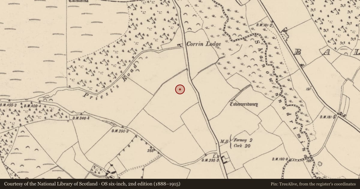 Ordnance Survey six-inch map, 2nd edition (1888–1915) covering the location of Enclosure, Corrin, County Cork, with a pin at the register's coordinates