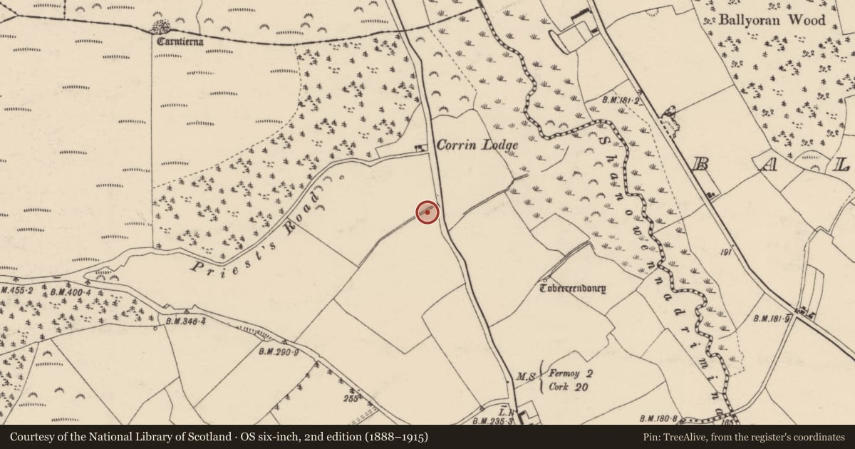 Ordnance Survey six-inch map, 2nd edition (1888–1915) covering the location of Fulacht fia, Corrin, County Cork, with a pin at the register's coordinates