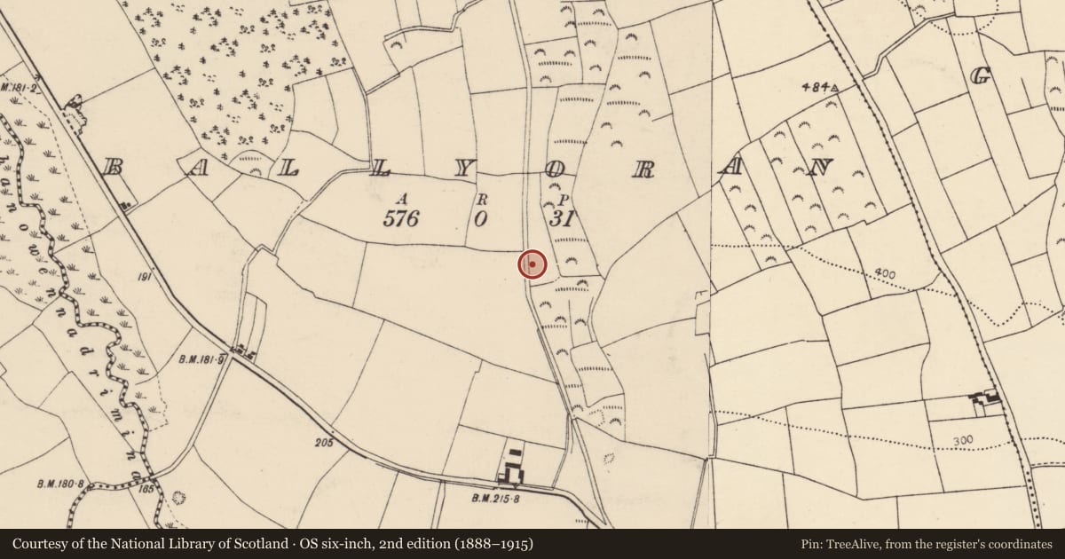 Ordnance Survey six-inch map, 2nd edition (1888–1915) covering the location of Fulacht fia, Ballyoran, County Cork, with a pin at the register's coordinates