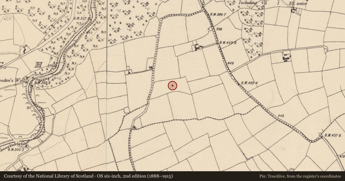 Ordnance Survey six-inch map, 2nd edition (1888–1915) covering the location of Ringfort - rath, Lisheen, County Cork, with a pin at the register's coordinates
